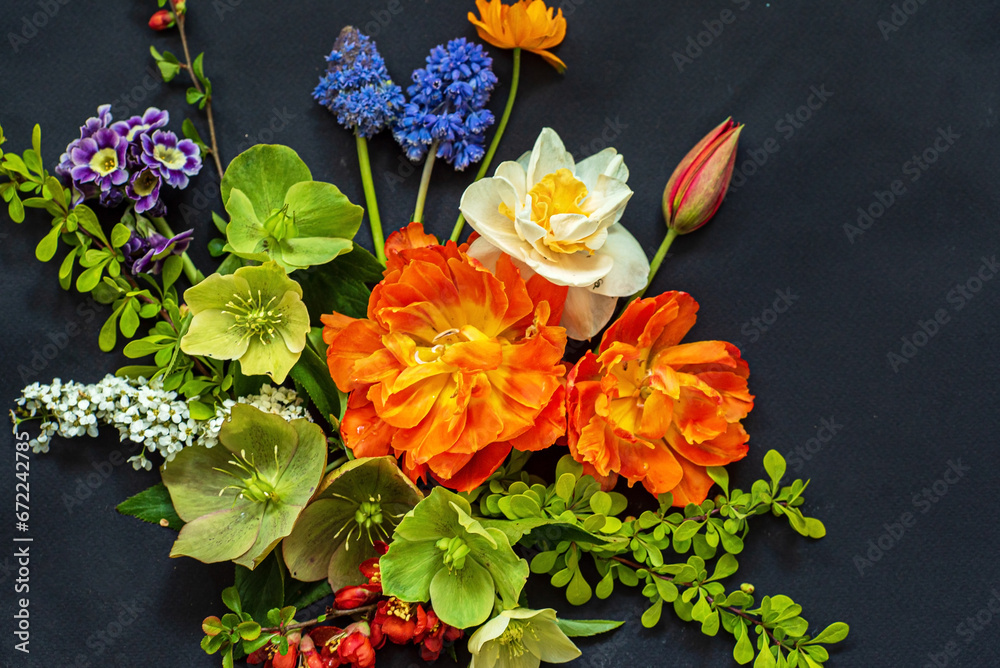 Fototapeta premium spring flowers on the black background