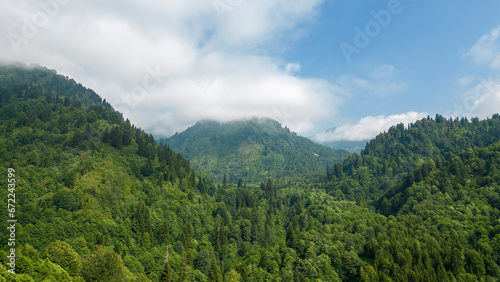 Mountain covered with forests. Aerial view forest
