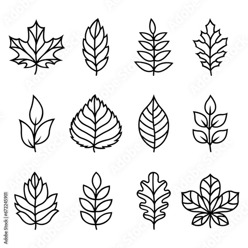 Autumn leaves silhouettes. Vector illustrations. Isolated on white background. Flat style. Simple plant outlines for paper or laser cutting and printing on any surface. photo