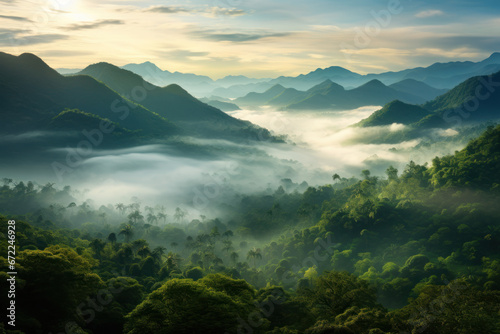 Mystic Fog Over Tropic Jungle Valley Panorama