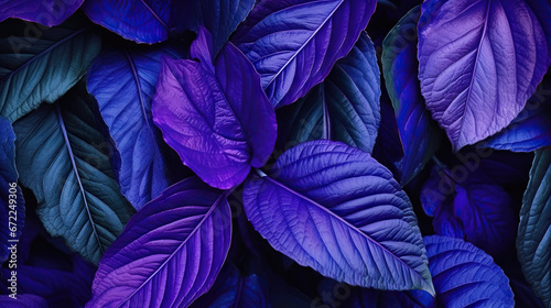  a close up of purple and green leaves on a plant. generative ai