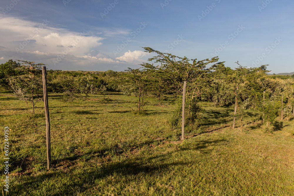 Fence of a camp near Masai Mara National Reserve, Kenya