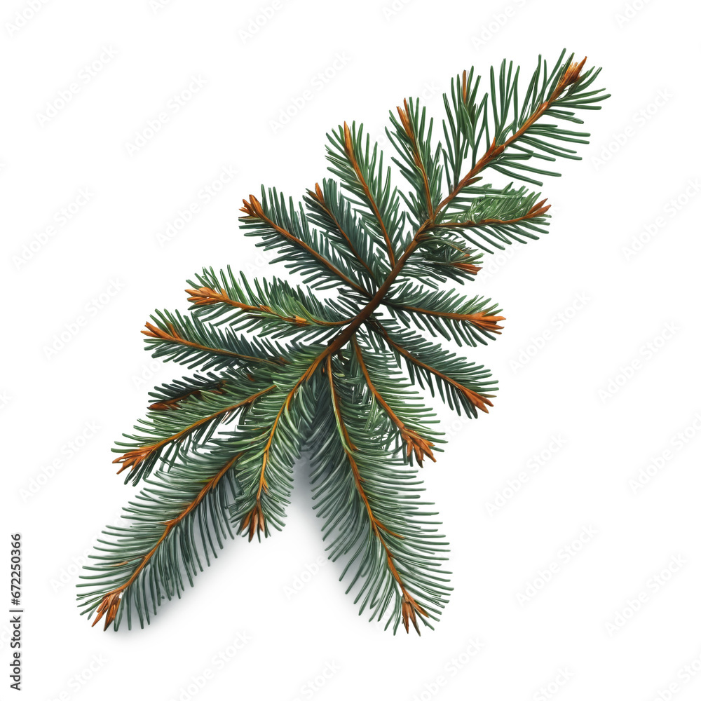 christmas tree branches with cones christmas tree branches with cones