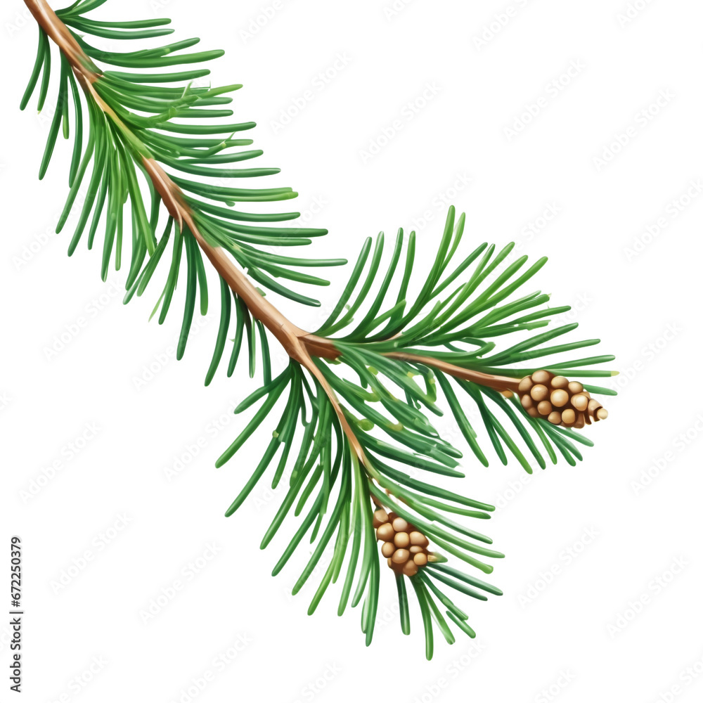 Naklejka premium christmas tree branches with cones