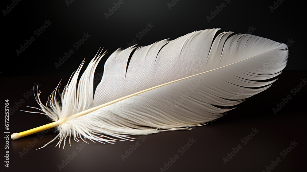 white feather on black white feather on black