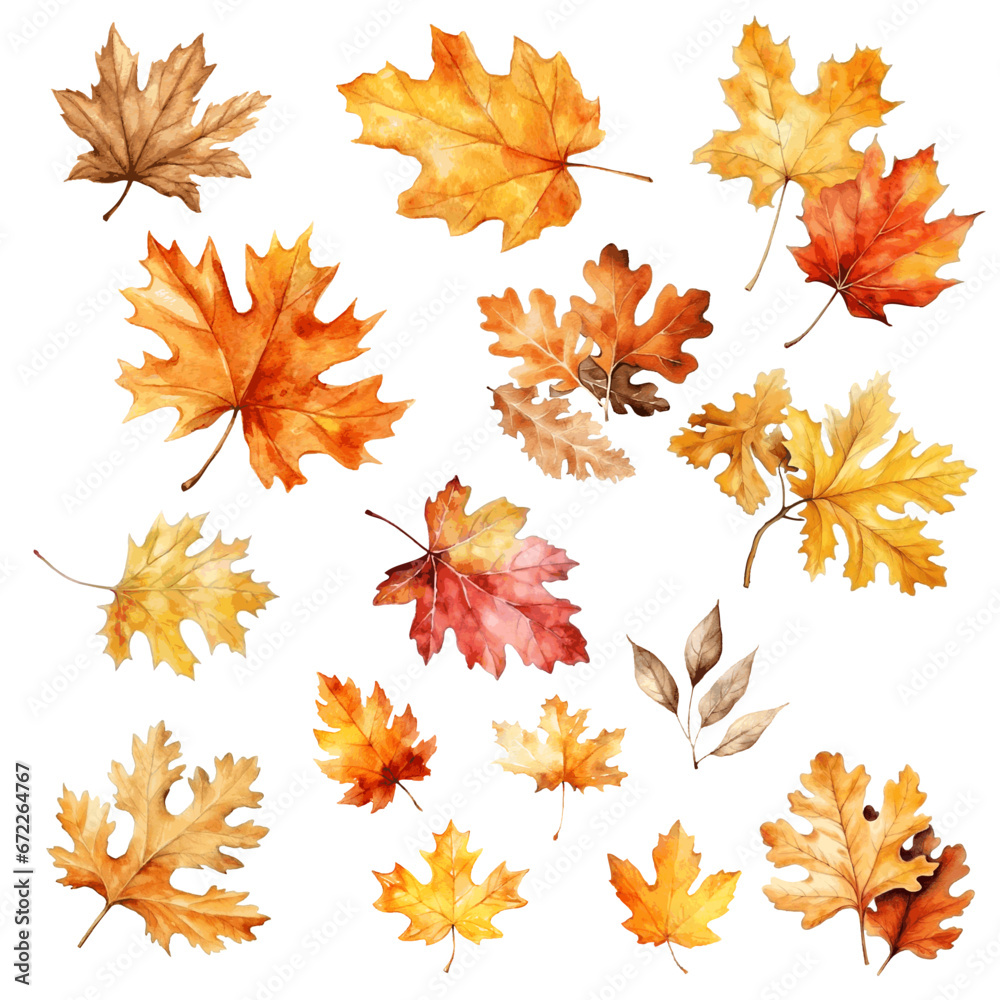 Autumn bright leaves maple and oak watercolor paint on white background Autumn bright leaves maple and oak watercolor paint on white background
