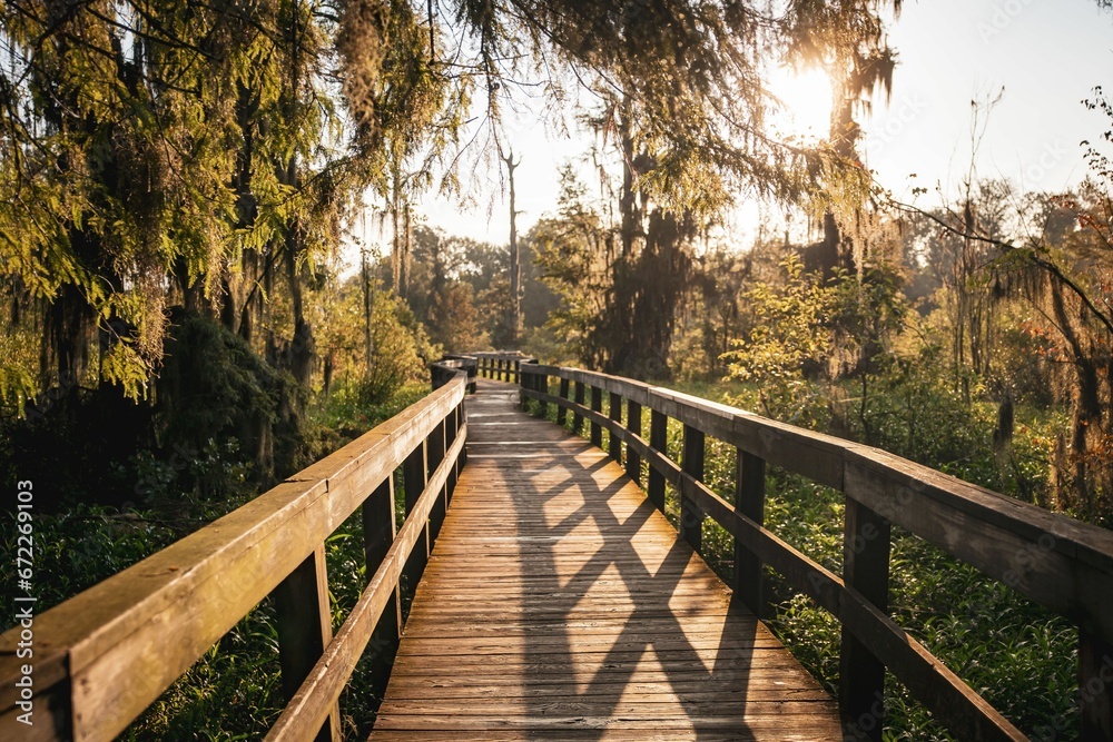Scenic view of a wooden pathway in a green park at sunset