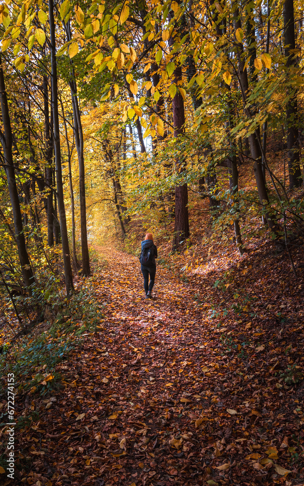 Beauty young woman in hoodie with backpack walking on forest autumn path. Czech landscape Beauty young woman in hoodie with backpack walking on forest autumn path. Czech landscape