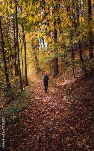 Beauty young woman in hoodie with backpack walking on forest autumn path. Czech landscape © Space Creator