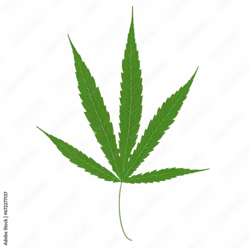 AI generated illustration of cannabis leaf isolated on white background AI generated illustration of cannabis leaf isolated on white background