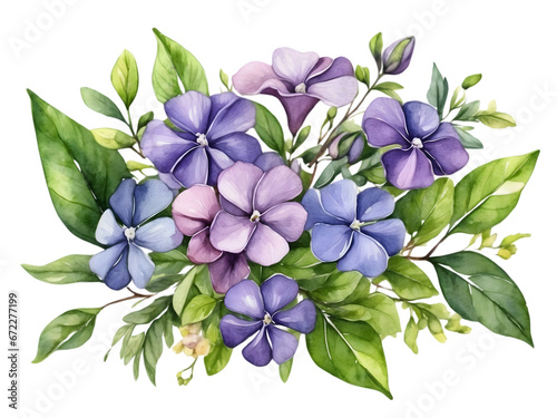 Watercolor periwinkle color flowers with green leaves arrangement in bouquet. Flower element for decoration.