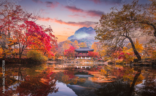 Colorful autumn with beautiful maple leaf at Baekyangsa temple in Naejangsan national park, South Korea.