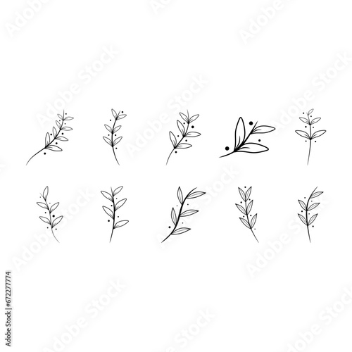 Hand Drawn Floral Outline #672277774