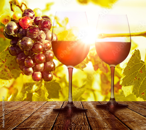 Weintrauben am Weinstock mit Rotweinglas im Gegenlicht