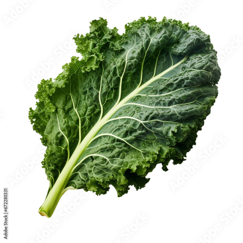 kale with transparent background. photo