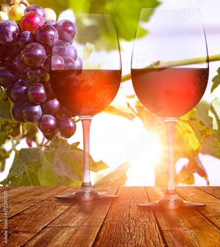 Weintrauben am Weinstock mit Rotweinglas im Gegenlicht