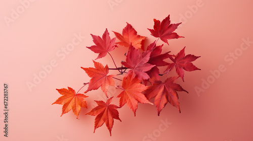  a bunch of red leaves on a pink background with a shadow. generative ai