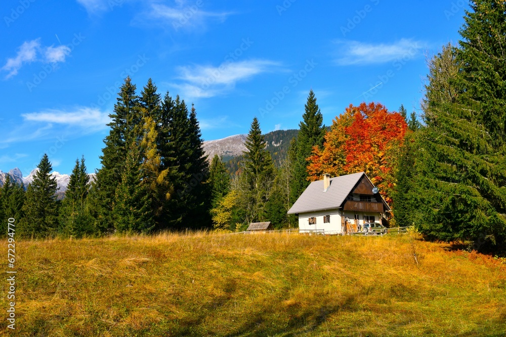 House at Uskovnica alpine pasture and a red colored tree behind in Gorenjska, Slovenia House at Uskovnica alpine pasture and a red colored tree behind in Gorenjska, Slovenia