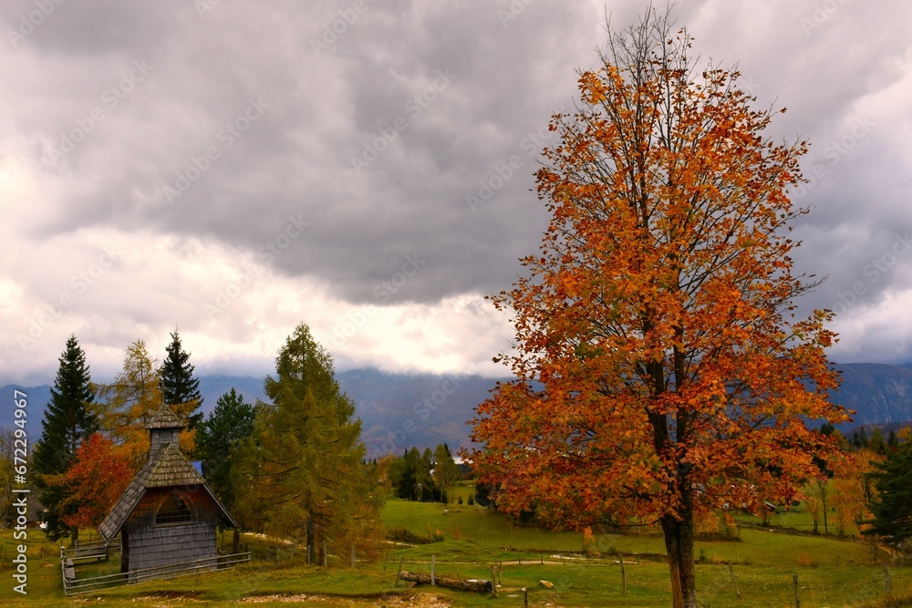 Wooden chapel and orange colored beech tree at Uskovnica alpine pasture in Julian alps, Slovenia
