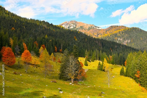 Alpine pasture at uskovnica with red and yellow autumn colored trees and Visevnik mountain in Julian alps, Gorenjska, Slovenia photo