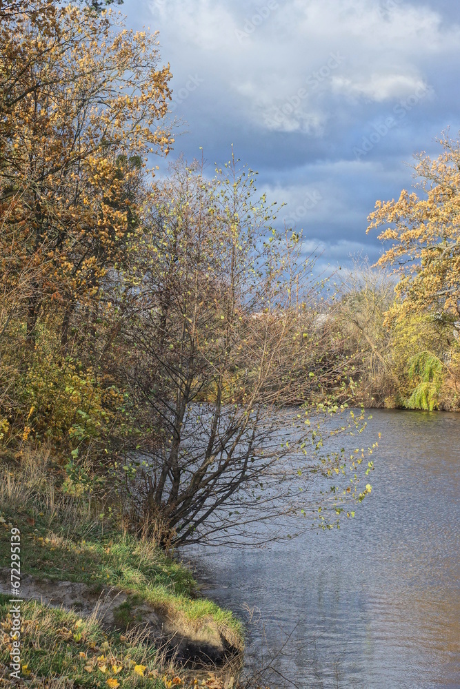 part of the shore in green grass and bushes near the water of the lake against the sky in the autumn park part of the shore in green grass and bushes near the water of the lake against the sky in the autumn park