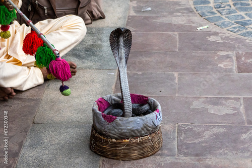 A snake charmer with his cobra the city of Jaipur in India, The Pink City, Rajastan photo