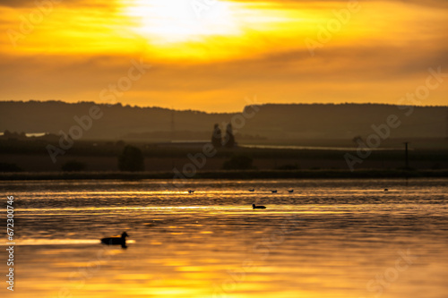 Sonnenuntergang färbt die Landschaft in ein Orange am Süßen See und der Umgebung
