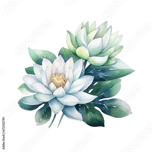 Beautiful lotus water lilly with leaves for card design watercolor paint on white background