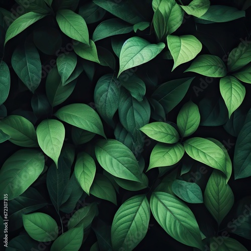 Group background of green leaves. Concept of nature. Green tropical leaves. Background and texture. © CtrlN