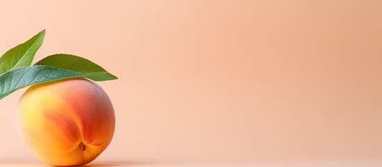 Crédence de cuisine Pantone 2024 Peach Fuzz A solitary recently harvested peach  © AkuAku