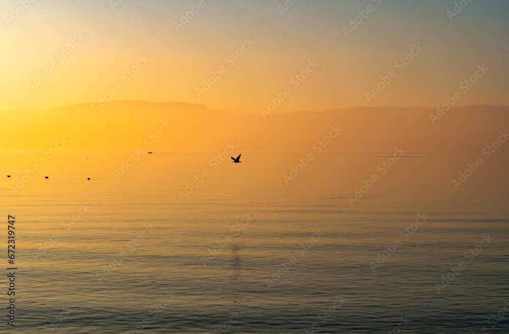 paysage coucher de soleil et oiseaux qui volent