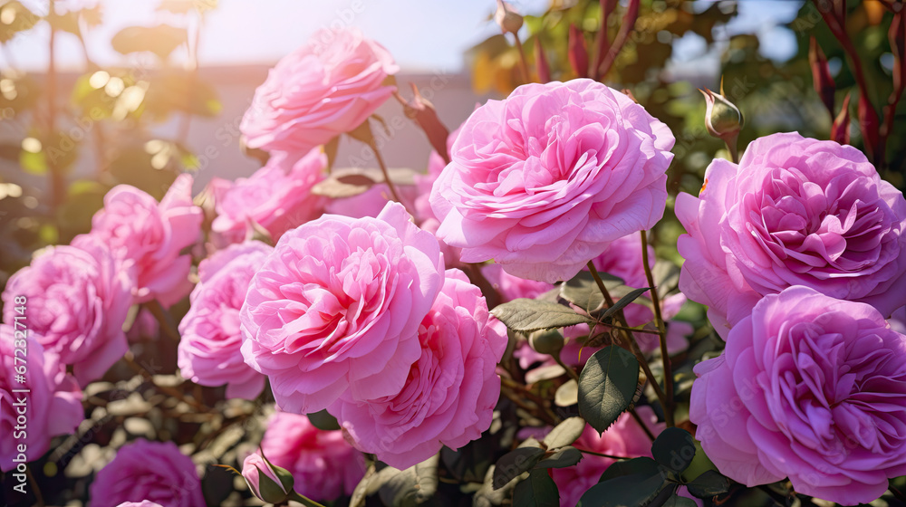 a bunch of pink flowers that are blooming in the sun. generative ai a bunch of pink flowers that are blooming in the sun. generative ai
