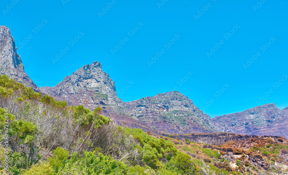Copyspace and landscape of The Twelve Apostles mountain with lush pasture, flowers and blue sky copy space. Vegetation on a grassy slope or cliff with hiking trails to explore Cape Town, South Africa