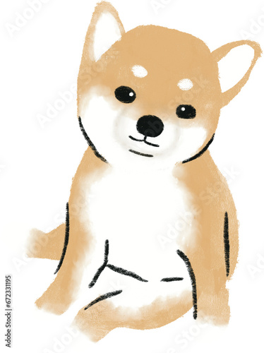 hand drawn cartoon illustration of dog pet in color pencil style.  drawing of household animal isolated. a shiba inu   a japanese dog