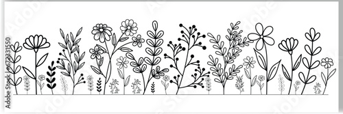 Hand-drawn wildflowers meadow. Black and white doodle wildflowers and grass plants. Monochrome floral elements.