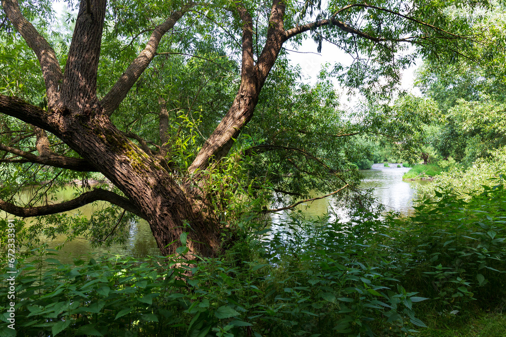 Beautiful wild summer Landscape around River Sazava from the central Czech 