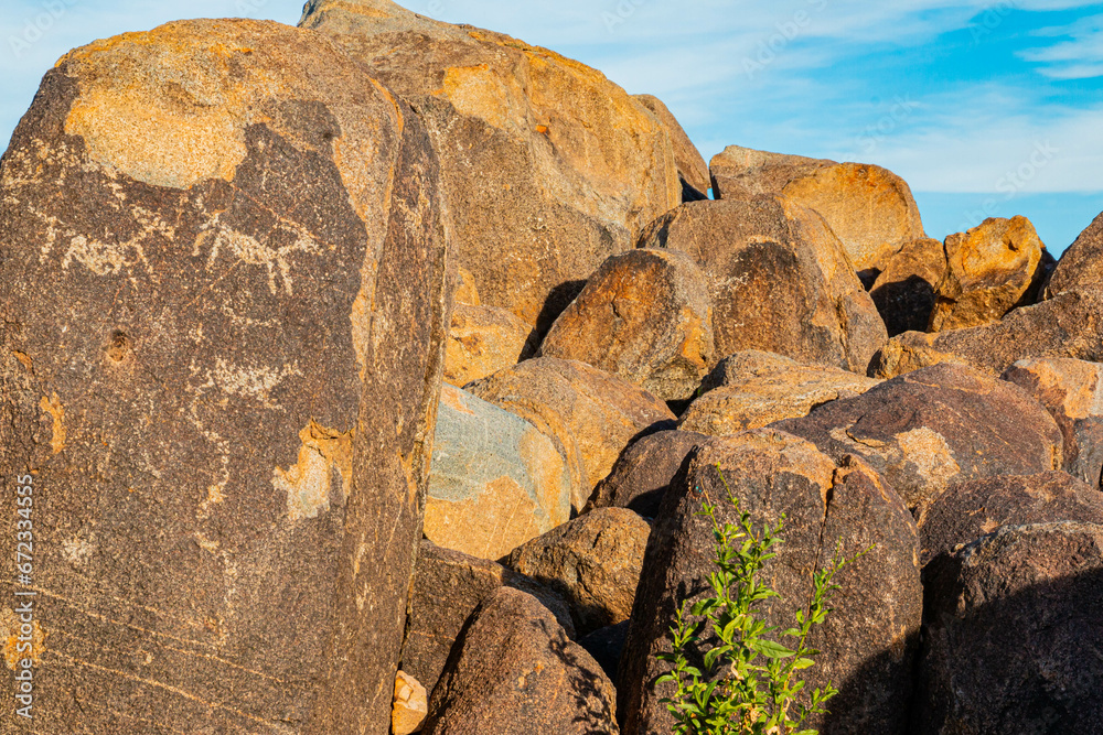 Ancient Petroglyphs on Signal Hill, Saguaro National Park, Tucson, Arizona, USA Ancient Petroglyphs on Signal Hill, Saguaro National Park, Tucson, Arizona, USA