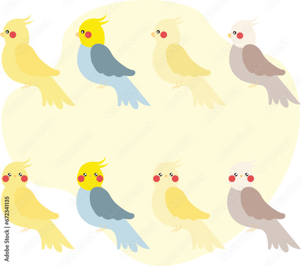 Naklejka premium Set of adult parrot of normal cockatiel cartoon bird design flat vector illustration isolated on white background. Cartoon cockatiel colour mutations