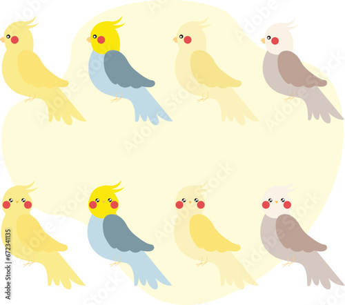 Set of adult parrot of normal cockatiel cartoon bird design flat vector illustration isolated on white background. Cartoon cockatiel colour mutations
