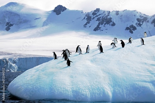 Antarctica chinstrap penguins standing on the icy snow-covered terrain photo