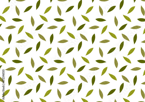 Green tea pattern wallpaper. Green tea doodle vector. Matcha pattern.