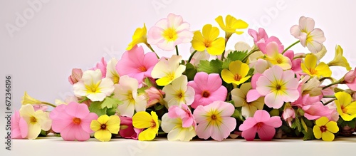 A primrose of the spring blooms within a bouquet against a backdrop of flowers