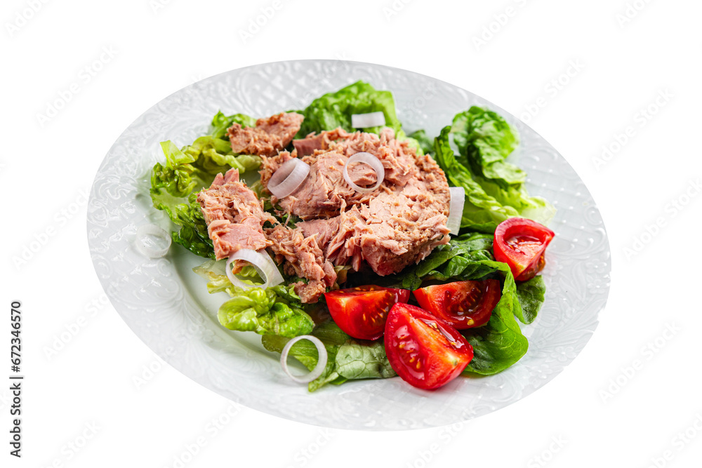 tuna salad fresh meal tuna canned eating cooking appetizer food snack on the table copy space food background rustic top view tuna salad fresh meal tuna canned eating cooking appetizer food snack on the table copy space food background rustic top view