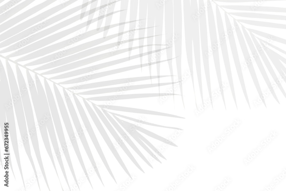 Realistic palm leaves shadow on white background - obrazy, fototapety, plakaty 