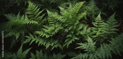 A Lush Green Oasis: A Close-Up of a Vibrant Plant with Abundant Leaves