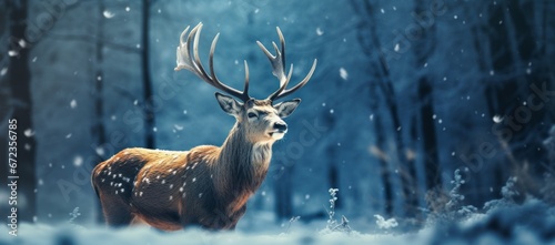 Christmas background with a deer standing in a snowy forest. winter wonderland, banner background xmas card, copy space for text © XC Stock