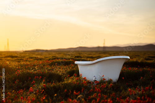 Bathtub in Feild at Sunset