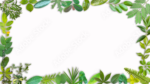 frame made of various type green leaves  suitable for design go green concept  PNG