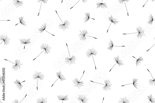 Dandelion flower pattern. Floral seamless vector background. isolated on white background © volyk