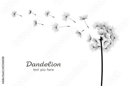 One dandelions blowing in the wind. isolated on white background